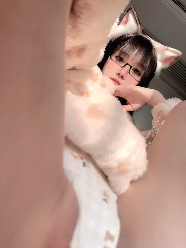 布丁大法 – NO.045 芝士猫 14